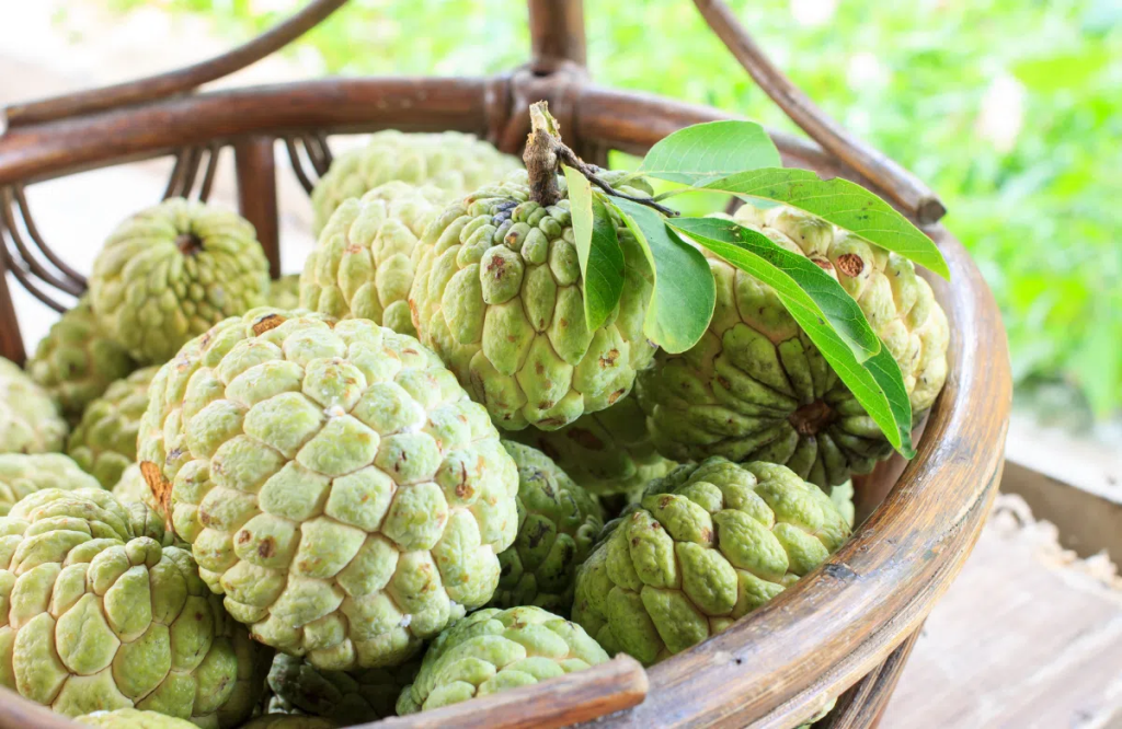 Cách làm mãng cầu sấy muối ớt